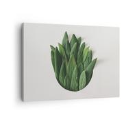 Impression sur Toile 70x50cm Tableaux Image Photo Sauge Médical Feuilles