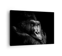 Impression sur Toile 70x50cm Tableaux Image Photo Singe Gorille Portrait