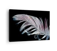 Impression sur Toile 70x50cm Tableaux Image Plume Les Couleurs La Délicatesse
