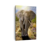 Impression sur Toile 80x120cm Tableaux Image Animaux Afrique éléphant marche