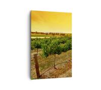 Impression sur Toile 80x120cm Tableaux Image Campagne Vignoble Coucher de soleil
