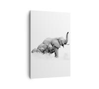Impression sur Toile 80x120cm Tableaux Image Éléphants Famille Noir Et Blanc