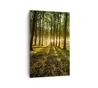 Impression sur Toile 80x120cm Tableaux Image Forêt vert rayons du soleil nature