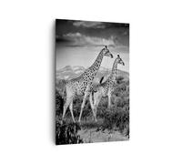 Impression sur Toile 80x120cm Tableaux Image Girafes Noir Et Blanc Photographie