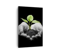 Impression sur Toile 80x120cm Tableaux Image Nature plante science protection