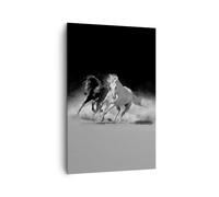 Impression sur Toile 80x120cm Tableaux Image Photo Andalouse Chevaux Galop