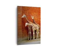 Impression sur Toile 80x120cm Tableaux Image Photo Animaux girafes zoo famille