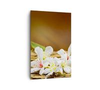 Impression sur Toile 80x120cm Tableaux Image Photo Asie spa bambou fleur