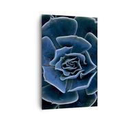 Impression sur Toile 80x120cm Tableaux Image Photo Bleu Cactus Fleur Decoration