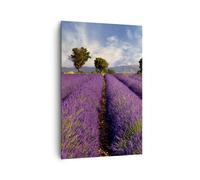 Impression sur Toile 80x120cm Tableaux Image Photo Campagne Prairie Plantes