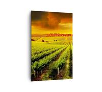 Impression sur Toile 80x120cm Tableaux Image Photo Campagne Vignoble plantation
