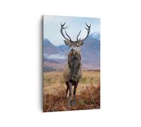 Impression sur Toile 80x120cm Tableaux Image Photo Cerf Cerf Ecosse Decoration