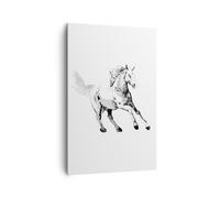 Impression sur Toile 80x120cm Tableaux Image Photo Cheval Galop Des Animaux