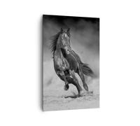 Impression sur Toile 80x120cm Tableaux Image Photo Cheval Galop Dynamique