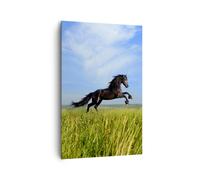 Impression sur Toile 80x120cm Tableaux Image Photo Cheval noir cheval galop