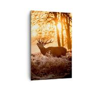 Impression sur Toile 80x120cm Tableaux Image Photo Deer bruyère animaux