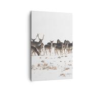 Impression sur Toile 80x120cm Tableaux Image Photo Deer hiver faune paysage