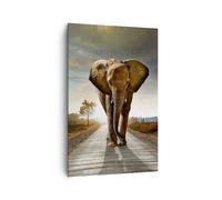 Impression sur Toile 80x120cm Tableaux Image Photo Elephant Route Campagne