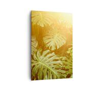 Impression sur Toile 80x120cm Tableaux Image Photo Feuilles Monstera Lumière