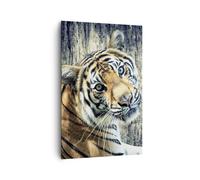 Impression sur Toile 80x120cm Tableaux Image Photo Inde pierre tigre sauvage