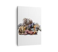 Impression sur Toile 80x120cm Tableaux Image Photo Les animaux koala lion singe