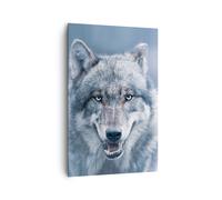 Impression sur Toile 80x120cm Tableaux Image Photo Loup Prédateur Wildness