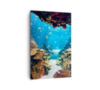 Impression sur Toile 80x120cm Tableaux Image Photo Océan Récif Poissons Corail