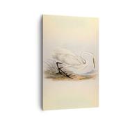 Impression sur Toile 80x120cm Tableaux Image Photo Oiseau blanc héron Decoration
