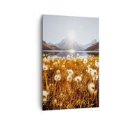 Impression sur Toile 80x120cm Tableaux Image Photo Pissenlits Soleil Champ