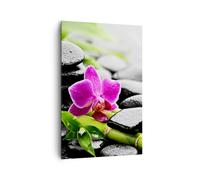 Impression sur Toile 80x120cm Tableaux Image Photo Plante pierres bambous spa