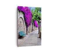 Impression sur Toile 80x120cm Tableaux Image Photo Plantes banc rue été
