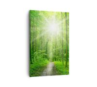 Impression sur Toile 80x120cm Tableaux Image Photo Rayons du soleil forêt été