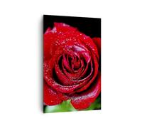Impression sur Toile 80x120cm Tableaux Image Photo Rose fleur pétales eau