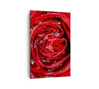 Impression sur Toile 80x120cm Tableaux Image Photo Rose fleur pétales rosée
