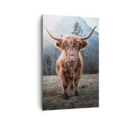 Impression sur Toile 80x120cm Tableaux Image Photo Scotch Vache Pâturage