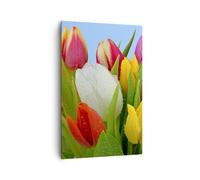 Impression sur Toile 80x120cm Tableaux Image Photo Tulipes Bouquet fleurs rosée