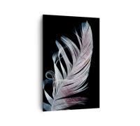 Impression sur Toile 80x120cm Tableaux Image Plume Les Couleurs La Délicatesse