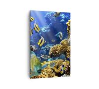 Impression sur Toile 80x120cm Tableaux Image Récif corallien océan crabe poisson