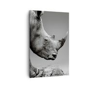 Impression sur Toile 80x120cm Tableaux Image Rhinocéros Monochrome Des Animaux