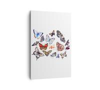 Impression sur Toile 80x120cm Tableaux Papillons illustration colorés ailes