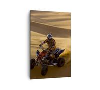 Impression sur Toile 80x120cm Tableaux Safari rassemblement compétitions sports