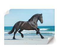 Impression sur Toile 84x59,4 cm | Format A1 | Un cheval au galop | Tirage d'Art | Design Moderne | Pour Chambre à Coucher, Cuisine, Salle de Bain, Couloir, Dortoir | Couleurs Vives