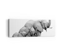 Impression sur Toile 90x30cm Tableaux Image Éléphants Famille Noir Et Blanc
