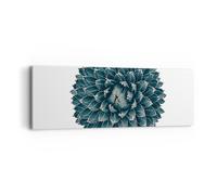 Impression sur Toile 90x30cm Tableaux Image Photo Agave Reine Victoria