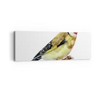 Impression sur Toile 90x30cm Tableaux Image Photo Chardonneret Oiseau Aquarelle