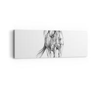 Impression sur Toile 90x30cm Tableaux Image Photo Cheval Galop Des Animaux