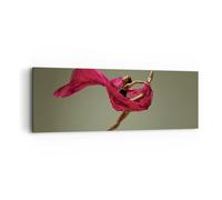 Impression sur Toile 90x30cm Tableaux Image Photo Danseur ballet artiste