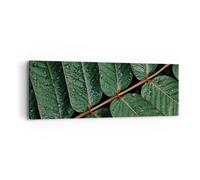 Impression sur Toile 90x30cm Tableaux Image Photo Gouttes Eau Feuilles