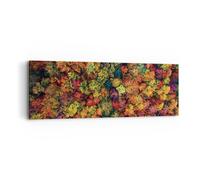 Impression sur Toile 90x30cm Tableaux Image Photo L'Automne Point De Vue Aviaire