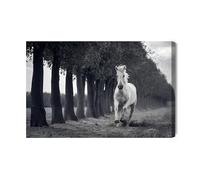 Impression sur toile Cheval au galop Réalisme Nature pour salon 30 x 20 cm